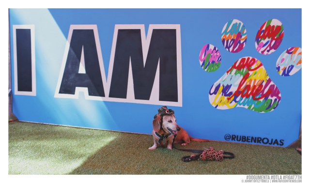 © Johnny Ortez-Tibbels | www.Rufusontheweb.com