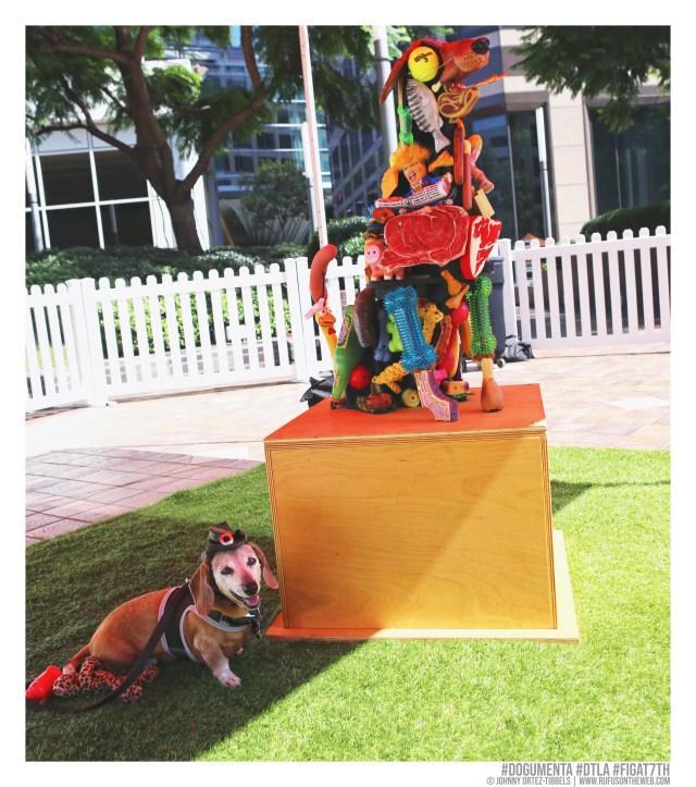 © Johnny Ortez-Tibbels | www.Rufusontheweb.com