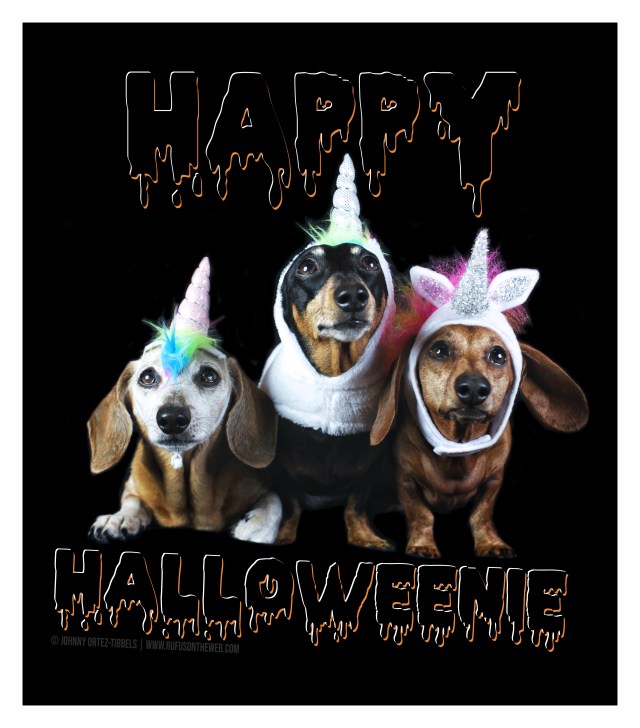 © Johnny Ortez-Tibbels | www.Rufusontheweb.com