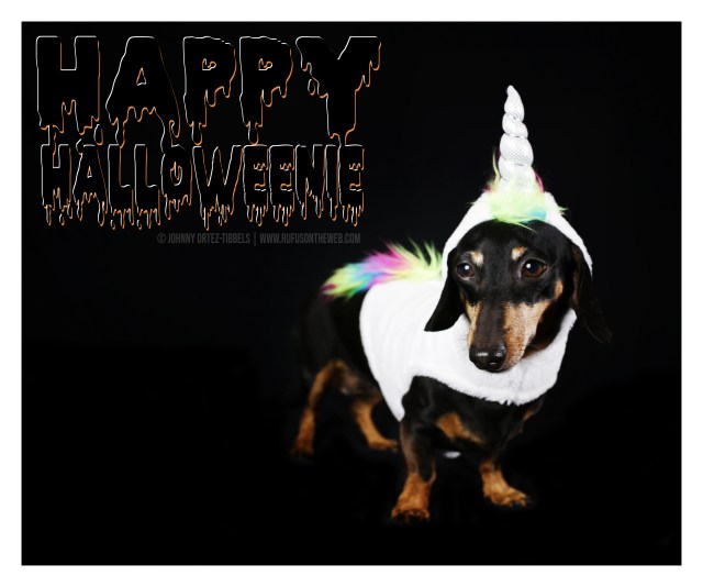 © Johnny Ortez-Tibbels | www.Rufusontheweb.com