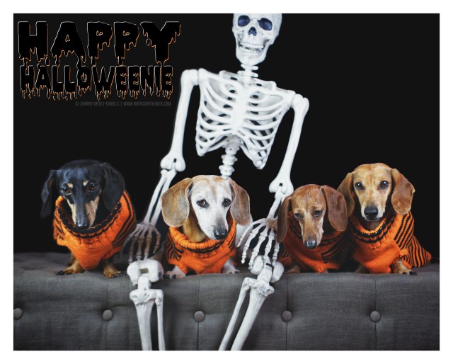 © Johnny Ortez-Tibbels | http://www.Rufusontheweb.com