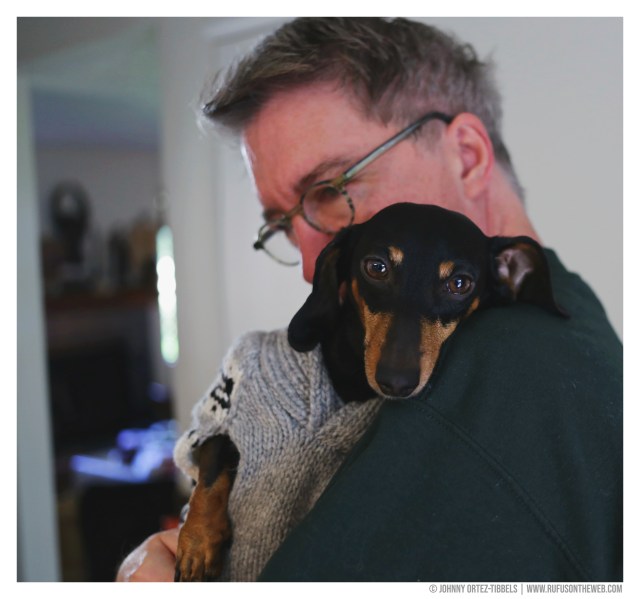 © Johnny Ortez-Tibbels | www.Rufusontheweb.com