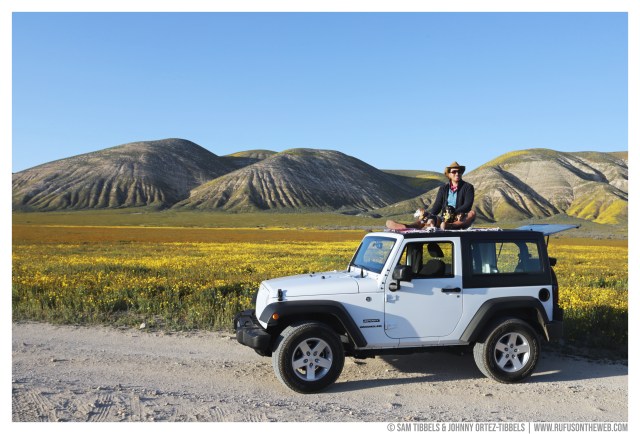 © Sam Tibbels & Johnny Ortez-Tibbels | www.Rufusontheweb.com