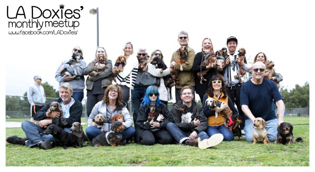 LA Doxies' Monthly Meetup © Johnny Ortez-Tibbels | www.Rufusontheweb.com