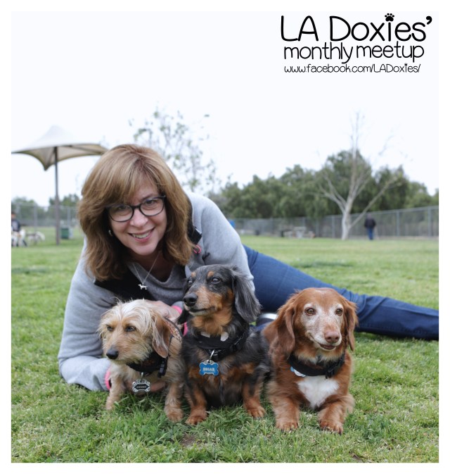 LA Doxies' Monthly Meetup © Johnny Ortez-Tibbels | www.Rufusontheweb.com