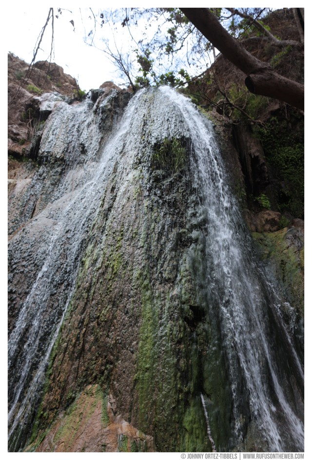 © Johnny Ortez-Tibbels | www.Rufusontheweb.com