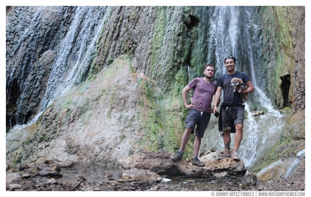 © Johnny Ortez-Tibbels | www.Rufusontheweb.com