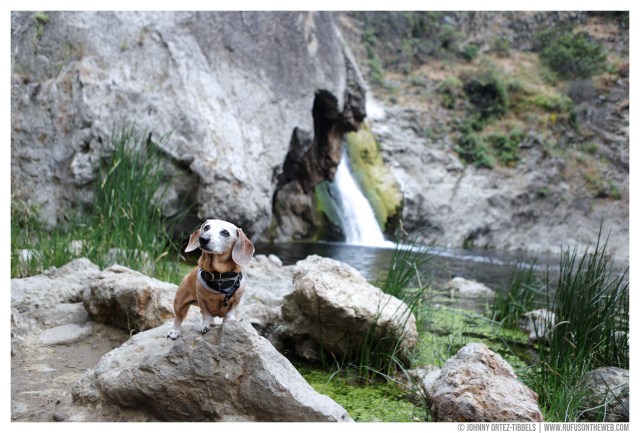 Paradise Falls © Johnny Ortez-Tibbels | www.Rufusontheweb.com