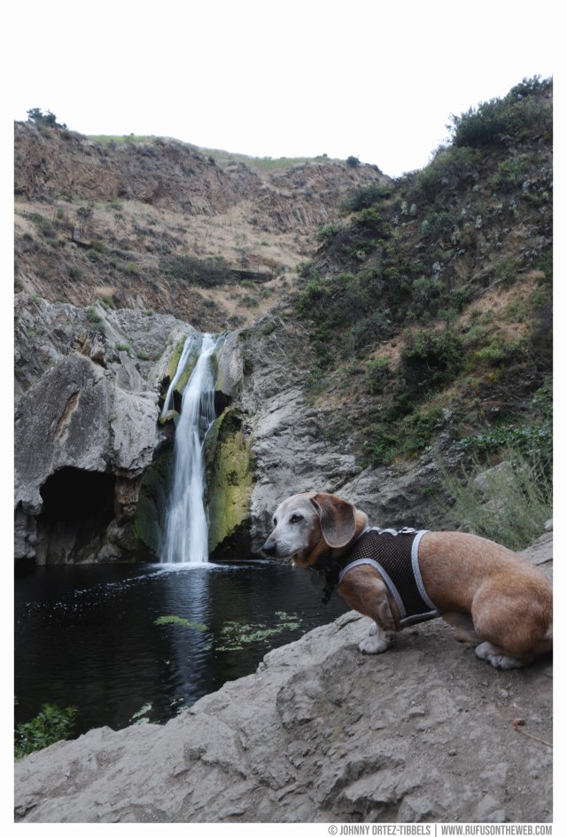 Paradise Falls © Johnny Ortez-Tibbels | www.Rufusontheweb.com