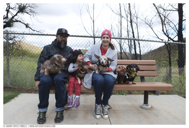 Dachshund Sunday Funday © Johnny Ortez-Tibbels | www.Rufusontheweb.com