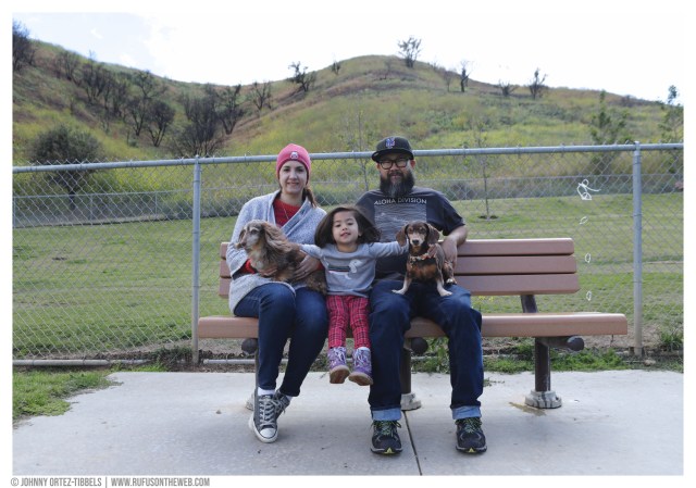 Dachshund Sunday Funday © Johnny Ortez-Tibbels | www.Rufusontheweb.com