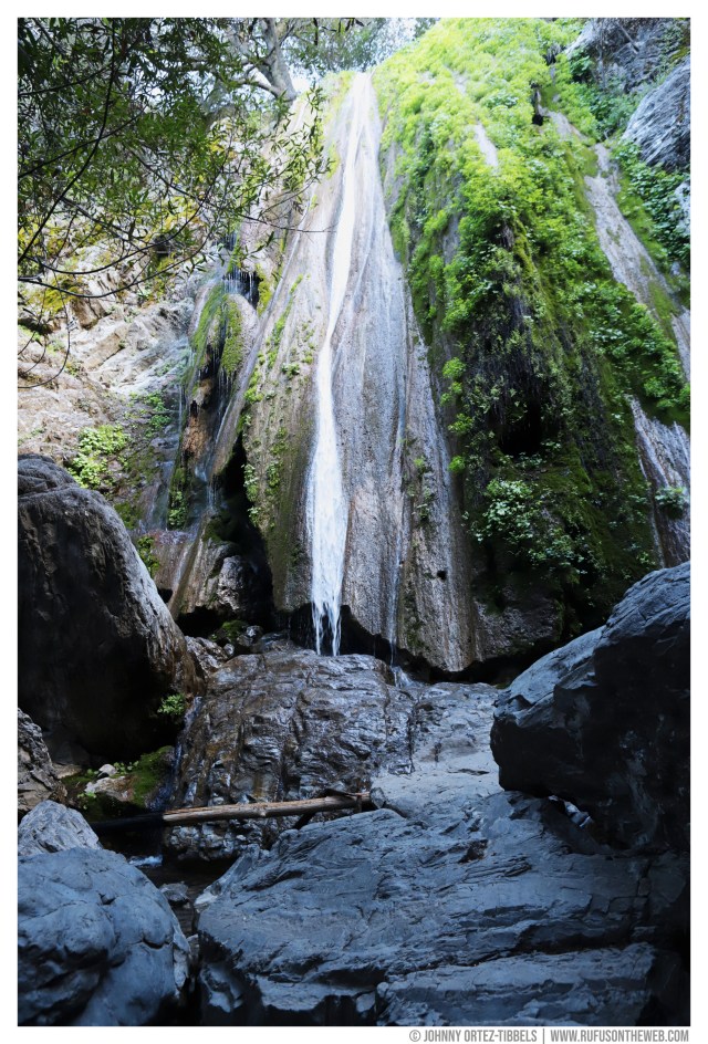 Rufus' Farewell Tour © Johnny Ortez-Tibbels | www.Rufusontheweb.com