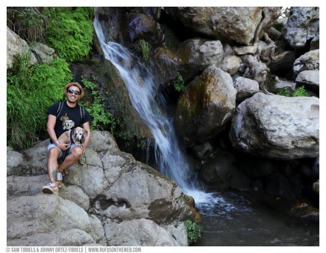 © Johnny Ortez-Tibbels | www.Rufusontheweb.com