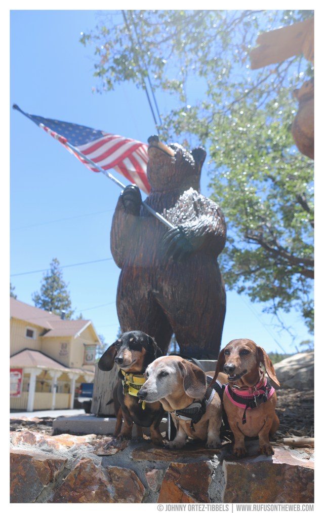 © Johnny Ortez-Tibbels | www.Rufusontheweb.com