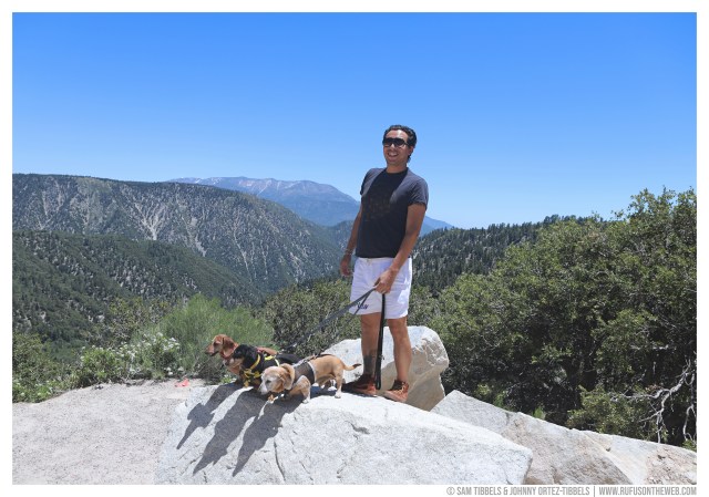 © Johnny Ortez-Tibbels | www.Rufusontheweb.com