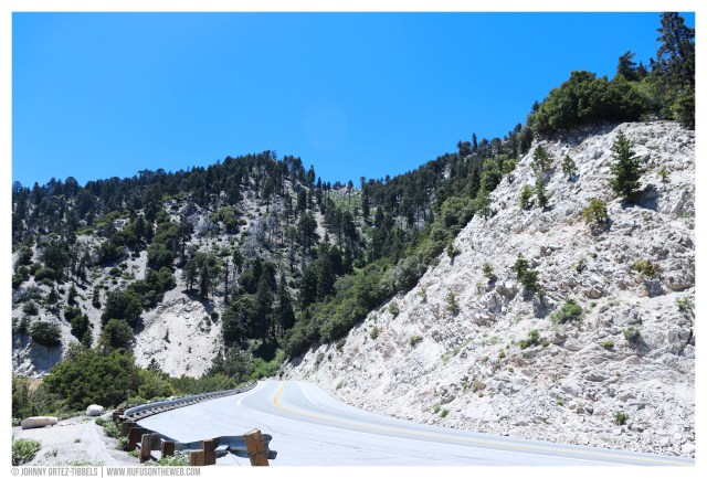 © Johnny Ortez-Tibbels | www.Rufusontheweb.com