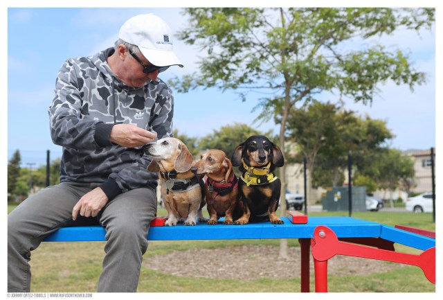 © Johnny Ortez-Tibbels | www.Rufusontheweb.com