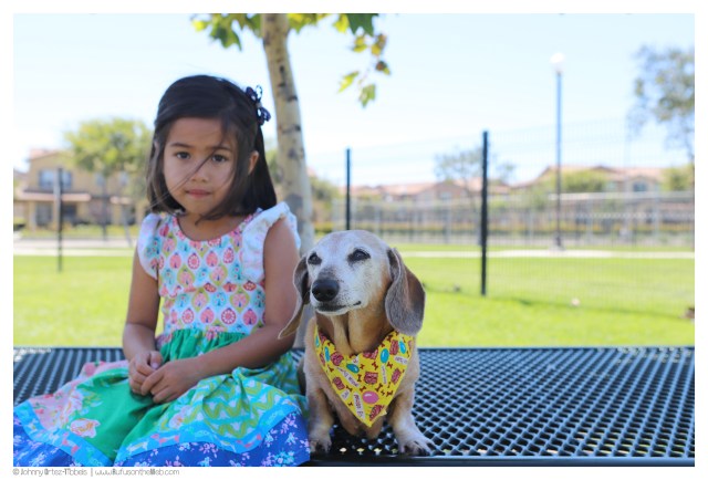 © Johnny Ortez-Tibbels | www.Rufusontheweb.com