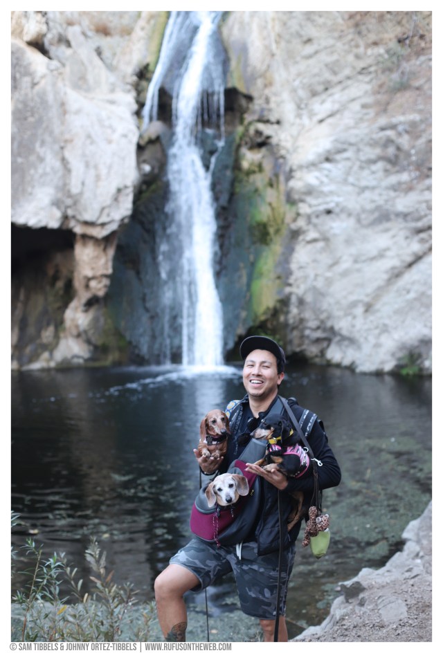 © Johnny Ortez-Tibbels | www.Rufusontheweb.com