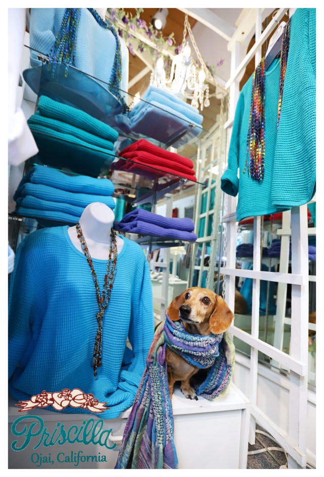 Milo © Johnny Ortez-Tibbels | www.Rufusontheweb.com