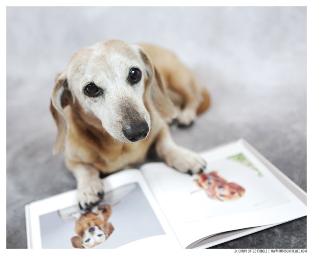 Rufus' Super Sweet Sixteen Book